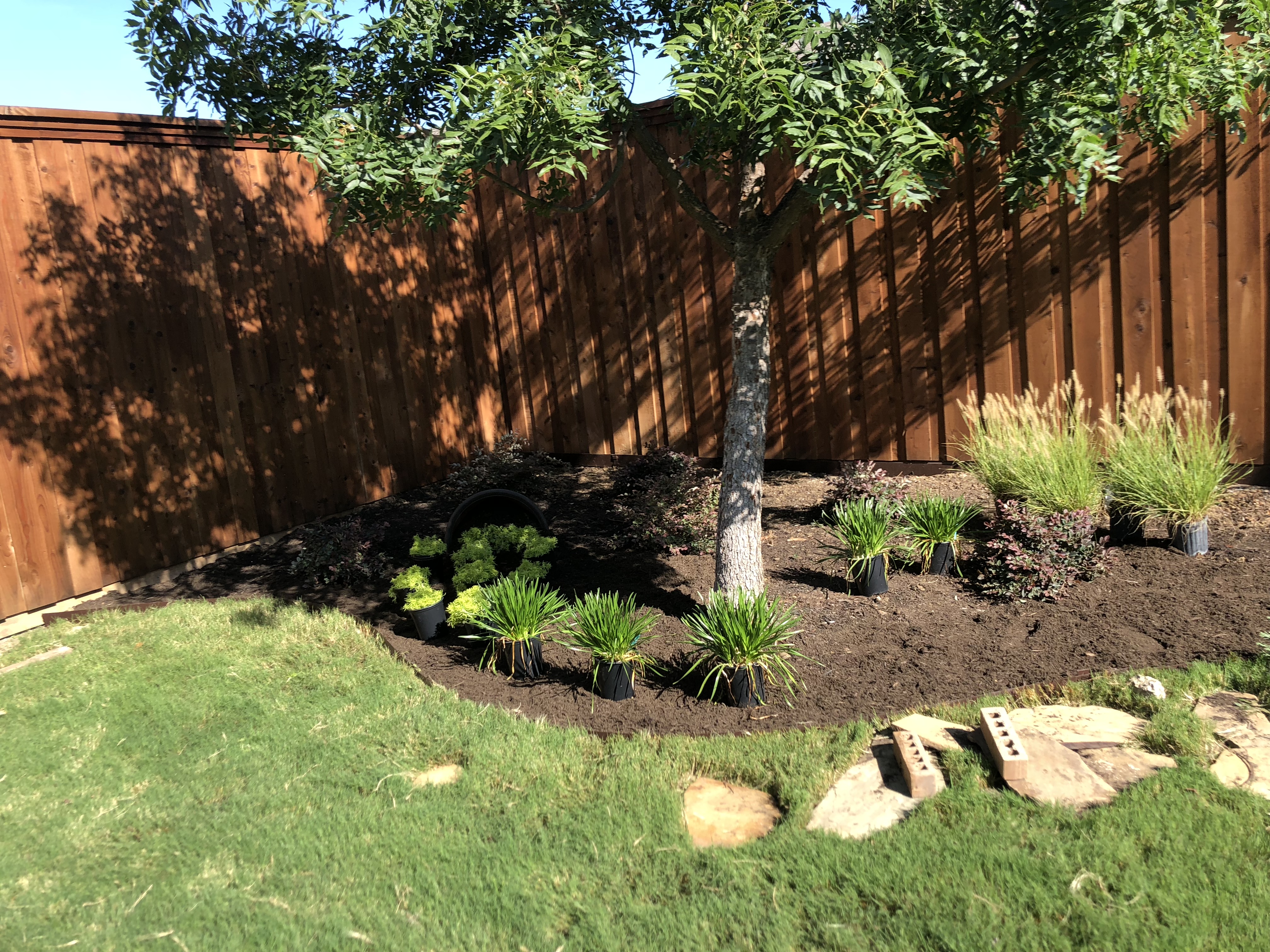 Image of a Backyard