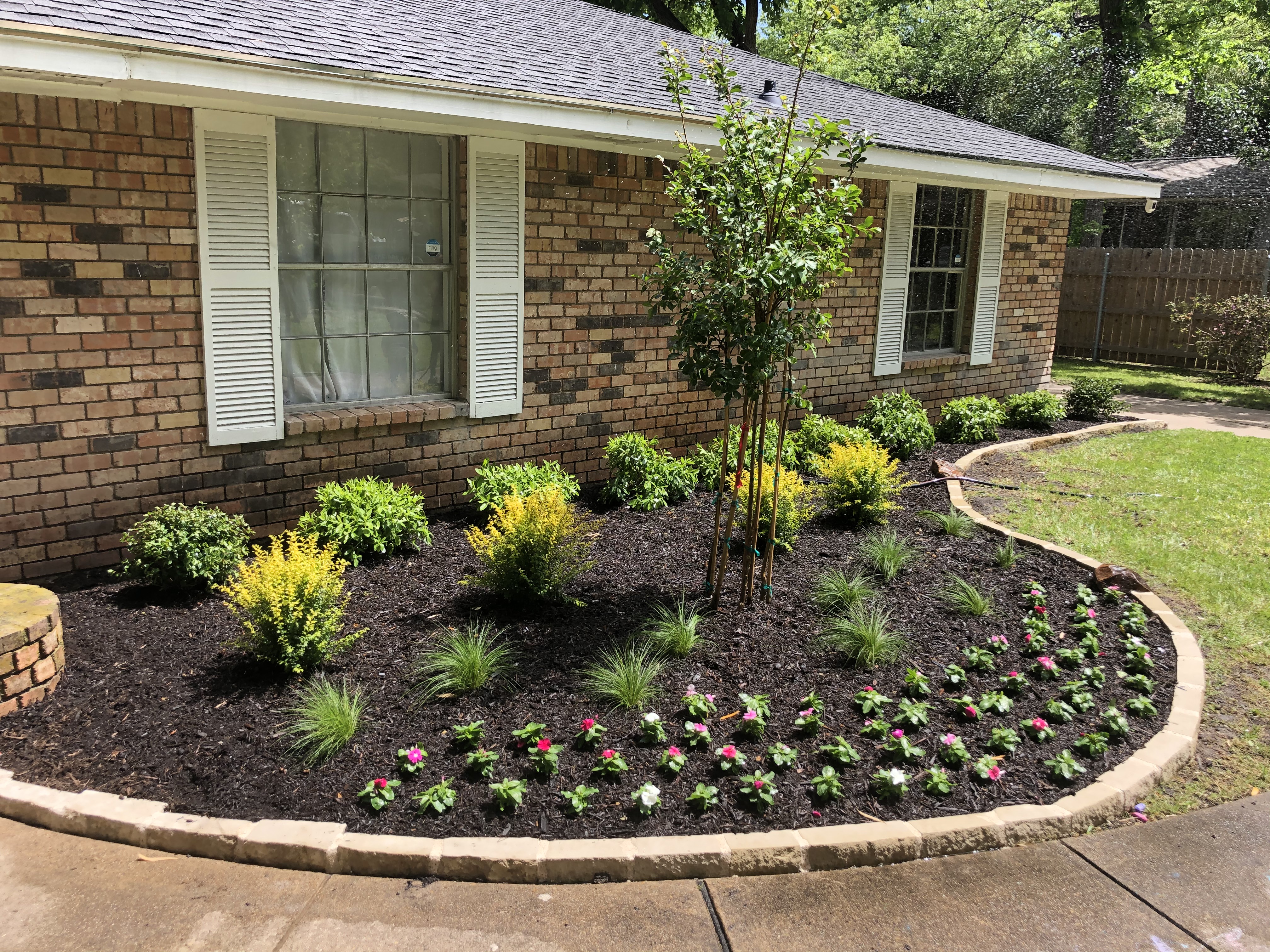 House with landscaping