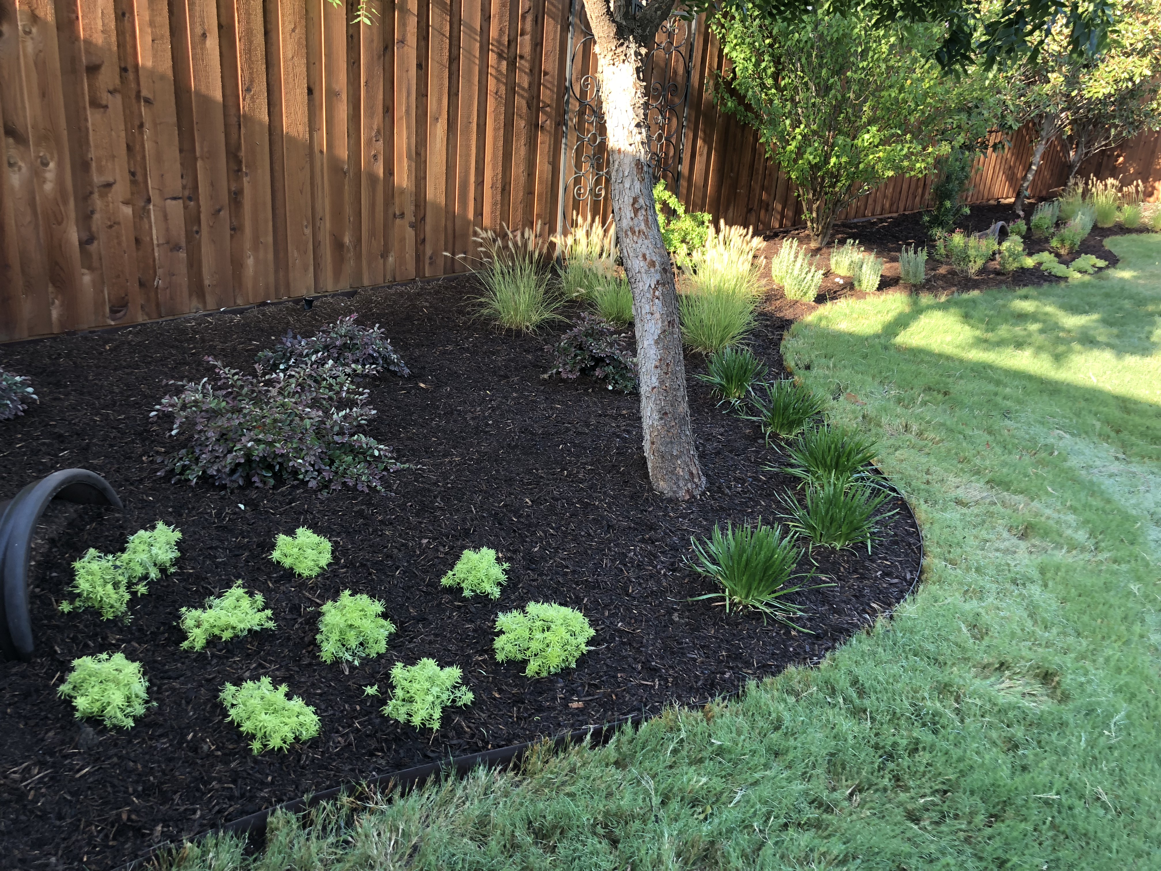 House with landscaping